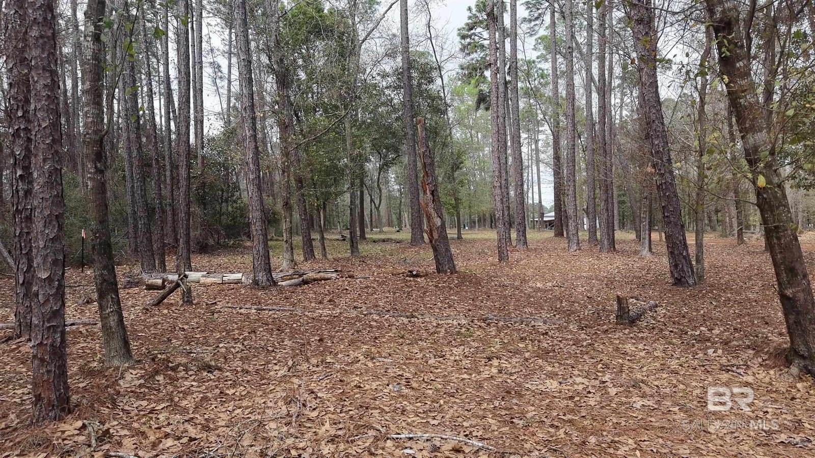 0 Wolf Bay Drive, Foley, AL 36535