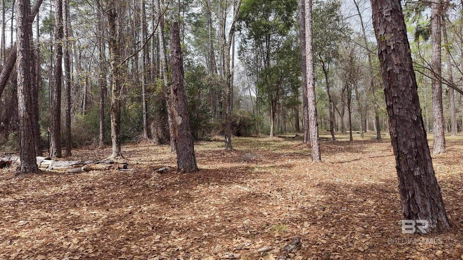 0 Wolf Bay Drive, Foley, AL 36535