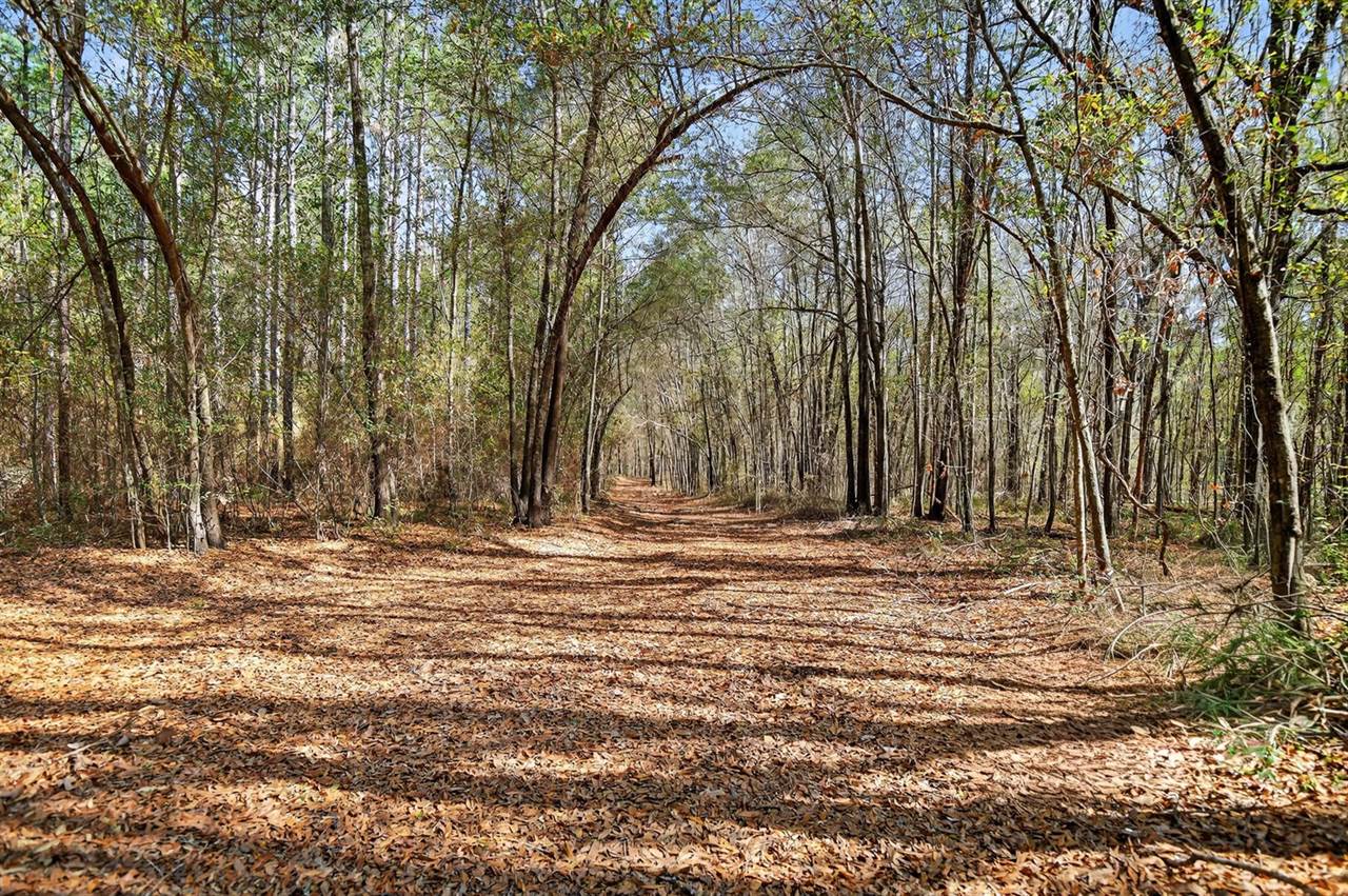 1223 Benton Road, Summerton, SC 29148