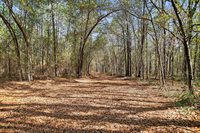 1223 Benton Road, Summerton, SC 29148