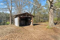 1255 Co Rd 974, Logan, AL 35098
