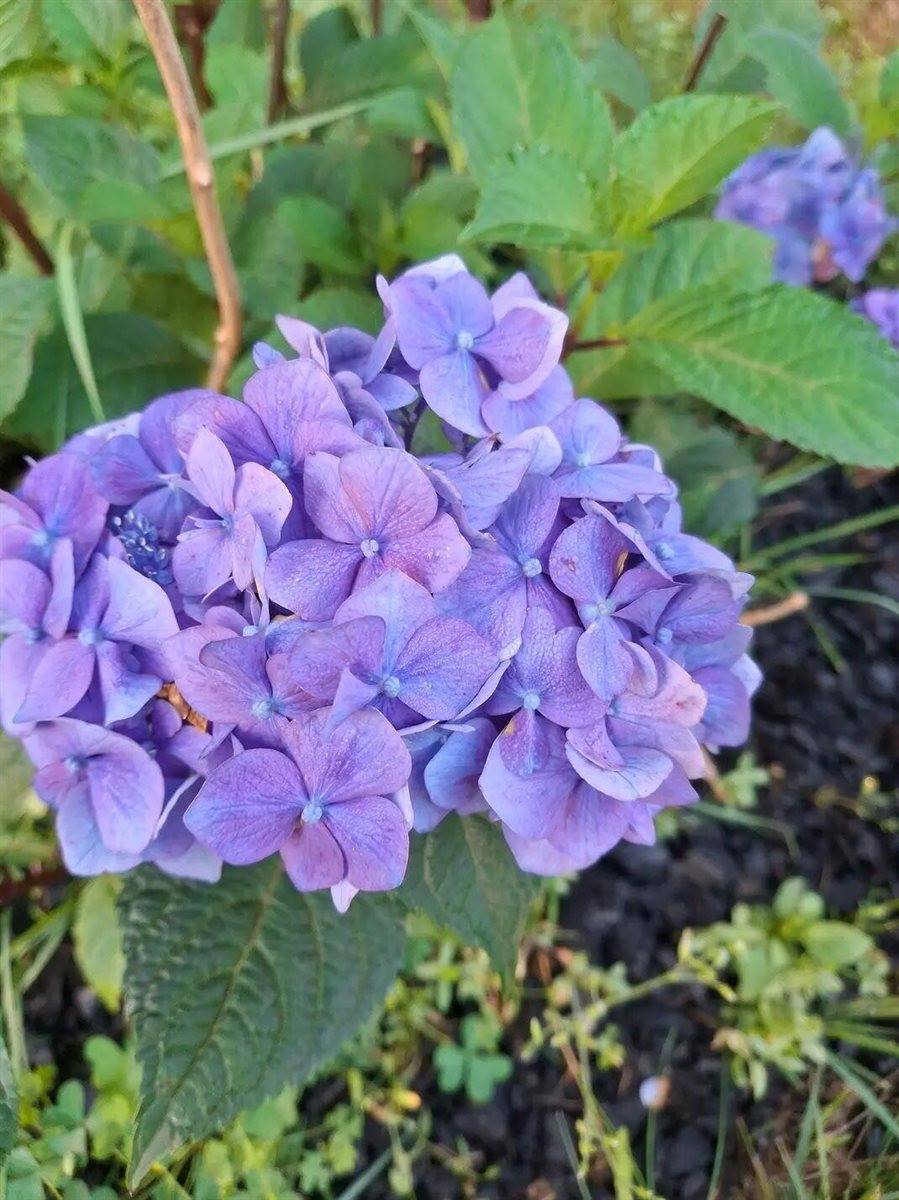 35 Deerfield Drive, Brunswick, ME 04011