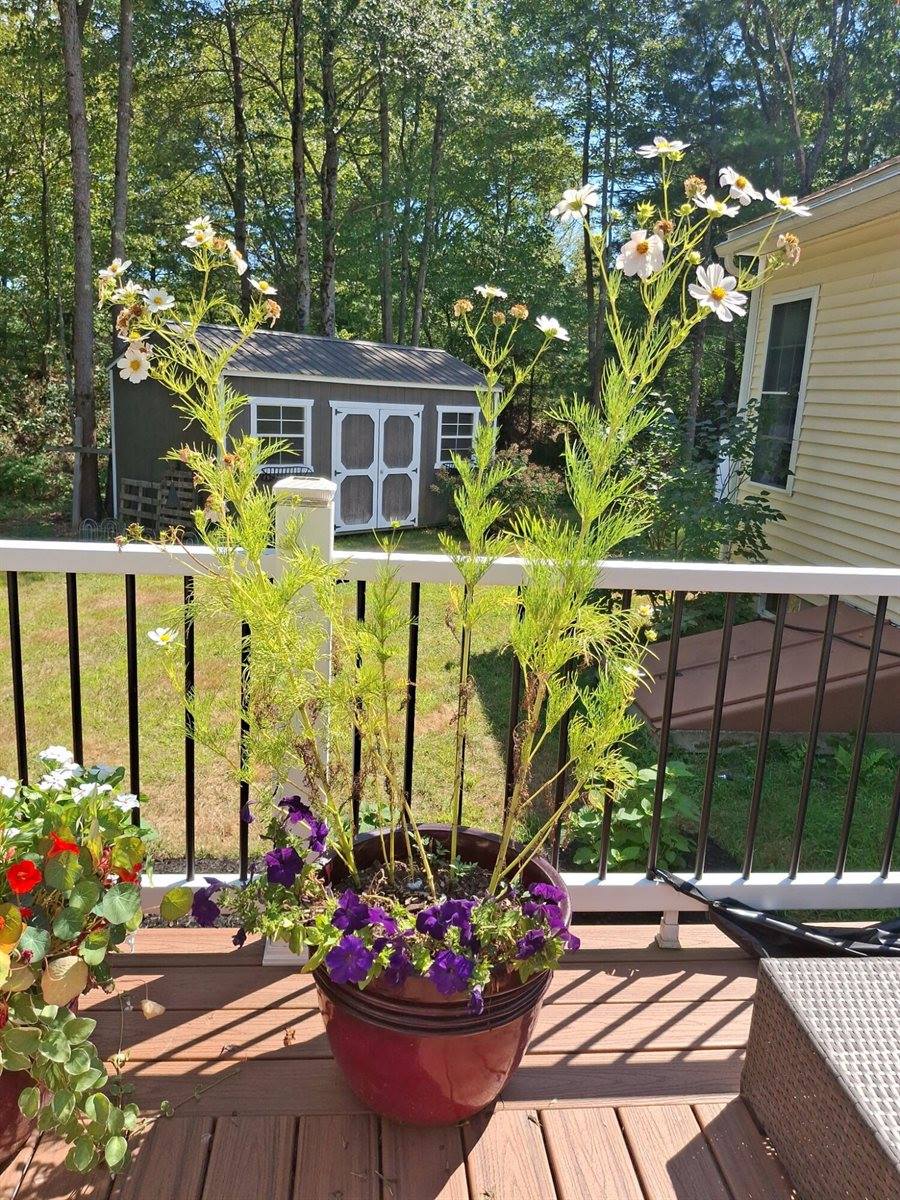 35 Deerfield Drive, Brunswick, ME 04011