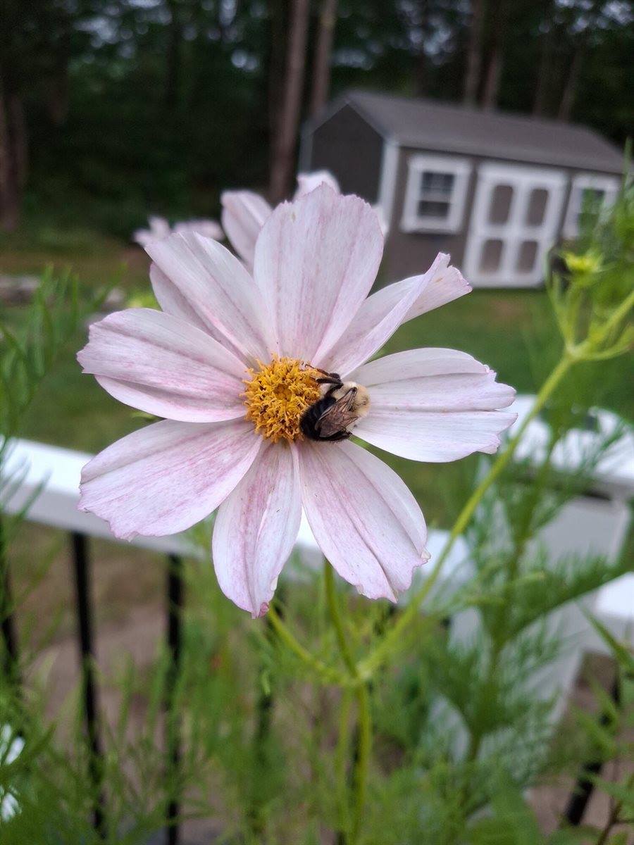 35 Deerfield Drive, Brunswick, ME 04011