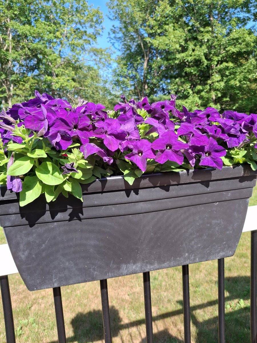 35 Deerfield Drive, Brunswick, ME 04011