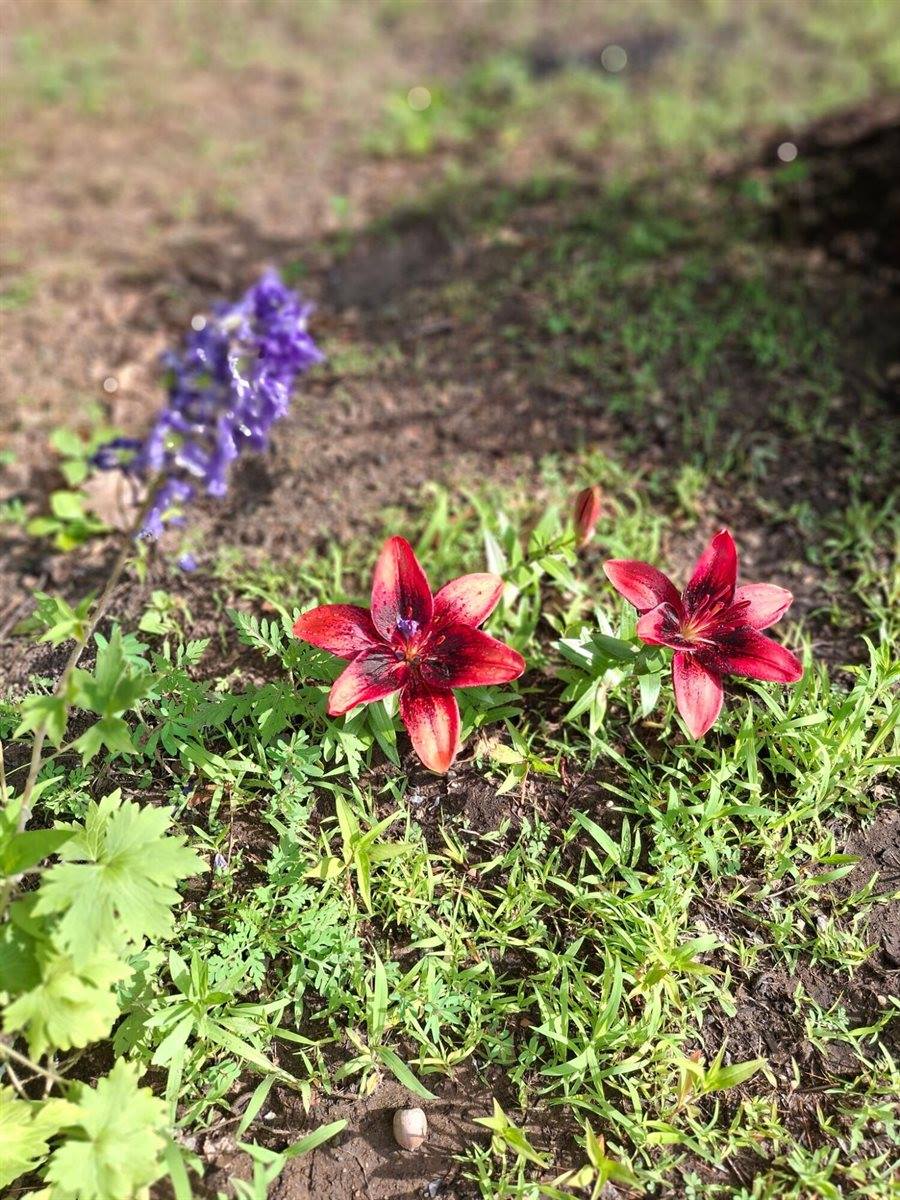 35 Deerfield Drive, Brunswick, ME 04011