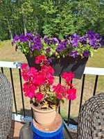 35 Deerfield Drive, Brunswick, ME 04011