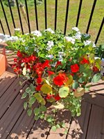 35 Deerfield Drive, Brunswick, ME 04011