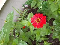 35 Deerfield Drive, Brunswick, ME 04011