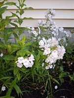 35 Deerfield Drive, Brunswick, ME 04011