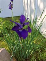 35 Deerfield Drive, Brunswick, ME 04011