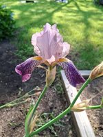 35 Deerfield Drive, Brunswick, ME 04011