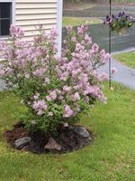 35 Deerfield Drive, Brunswick, ME 04011