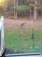 35 Deerfield Drive, Brunswick, ME 04011