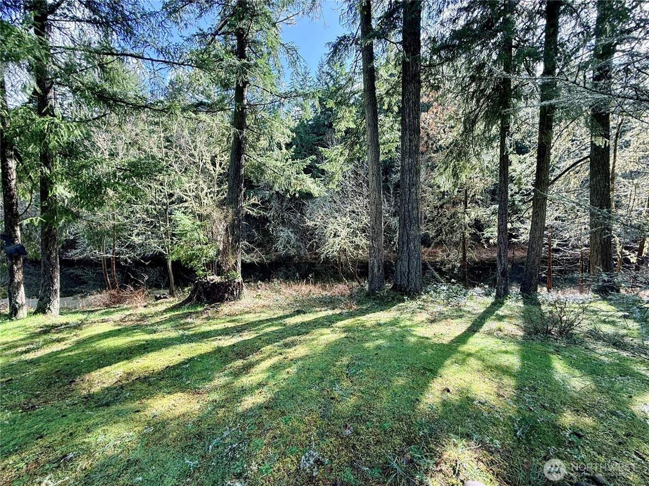 17838 Pondside Court SE, Yelm, WA 98597