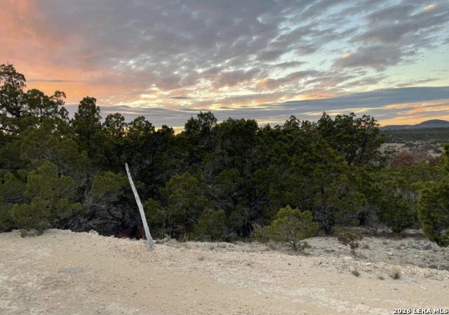 LOT 195 Antler Run, Pipe Creek, TX 78063