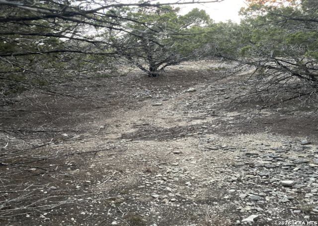 LOT 195 Antler Run, Pipe Creek, TX 78063