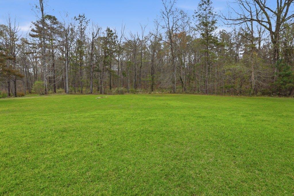 1159 Ossahatchie Creek Road, Ellerslie, GA 31807
