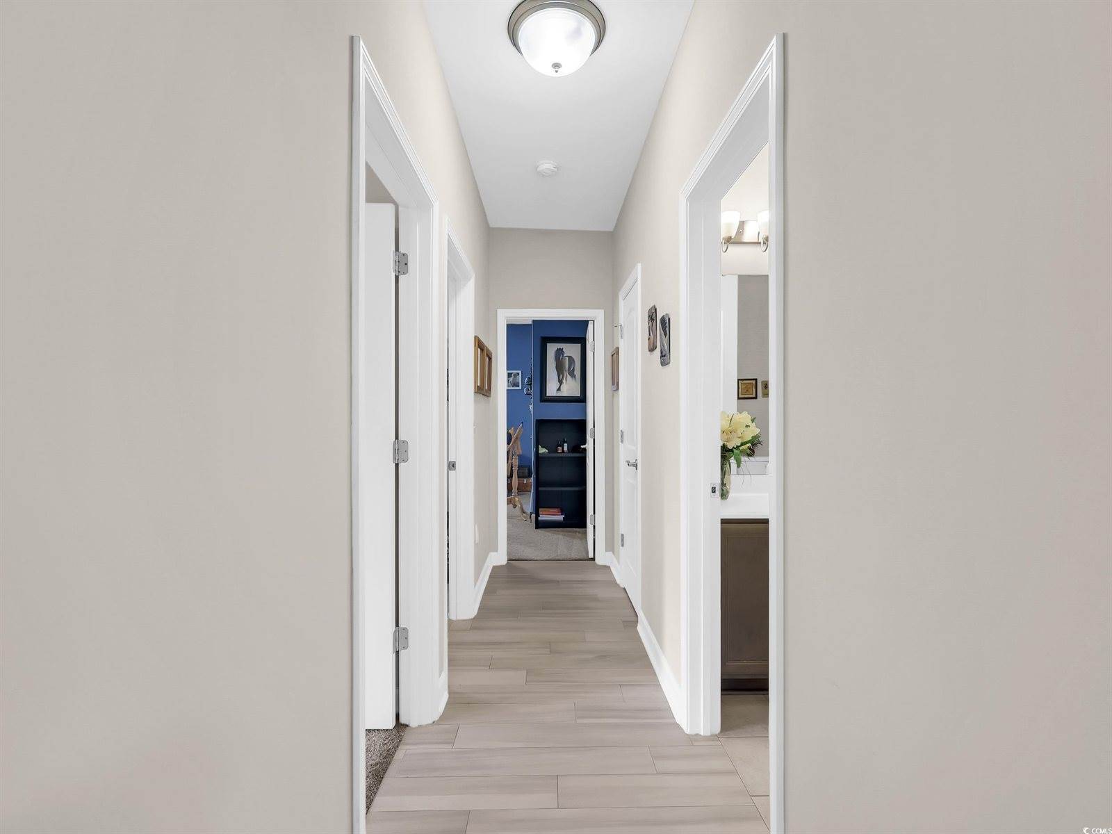 1218 White Fox Ct., Conway, SC 29526