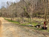 2621 Union Hill Rd, Parrottsville, TN 37843