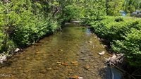 1770 Highway 91, Elizabethton, TN 37643
