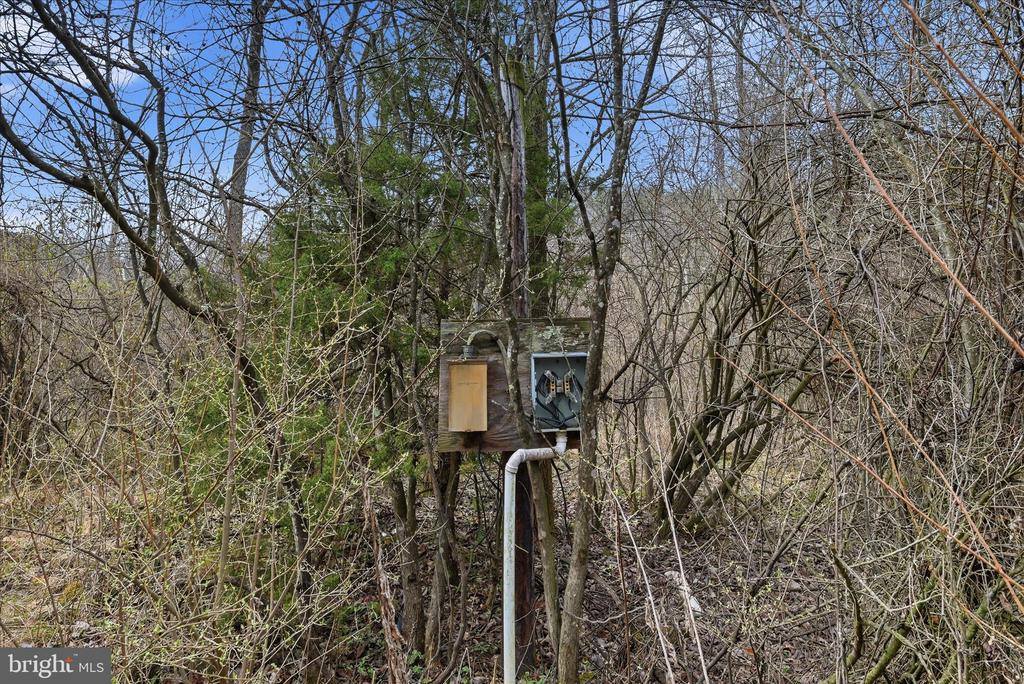 Aa Rogers, Augusta, WV 26704