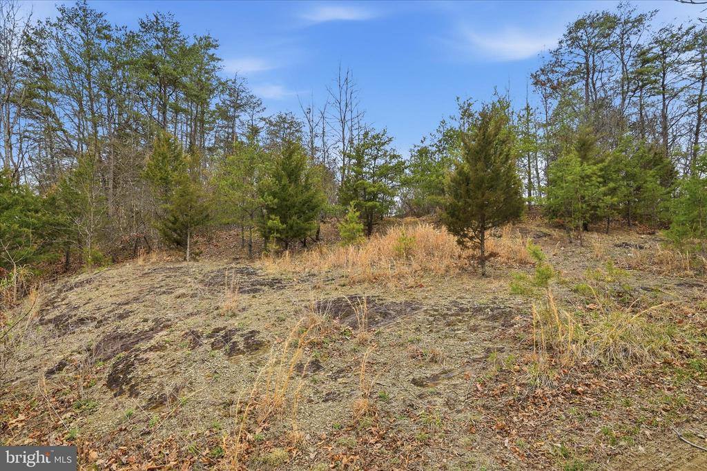 Aa Rogers, Augusta, WV 26704