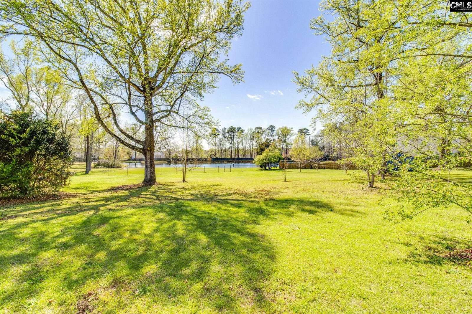 391 Park Road, Lexington, SC 29072