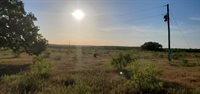 956 Cr-1990, Chico, TX 76431