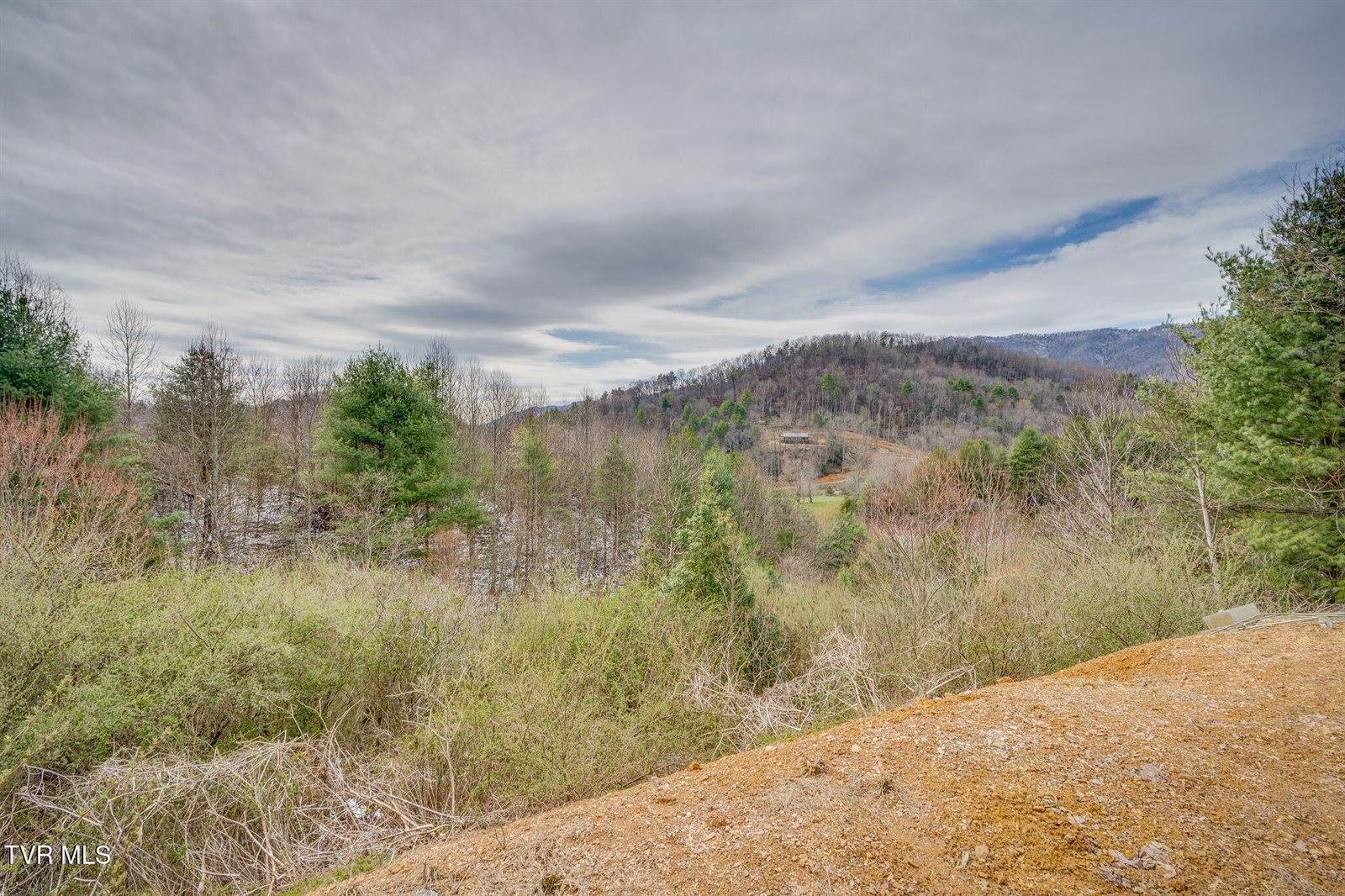 151 Windy Hill Private Lane, Butler, TN 37640