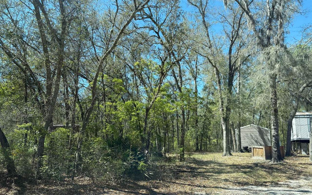 896 NW Everett Terrace, White Springs, FL 32096