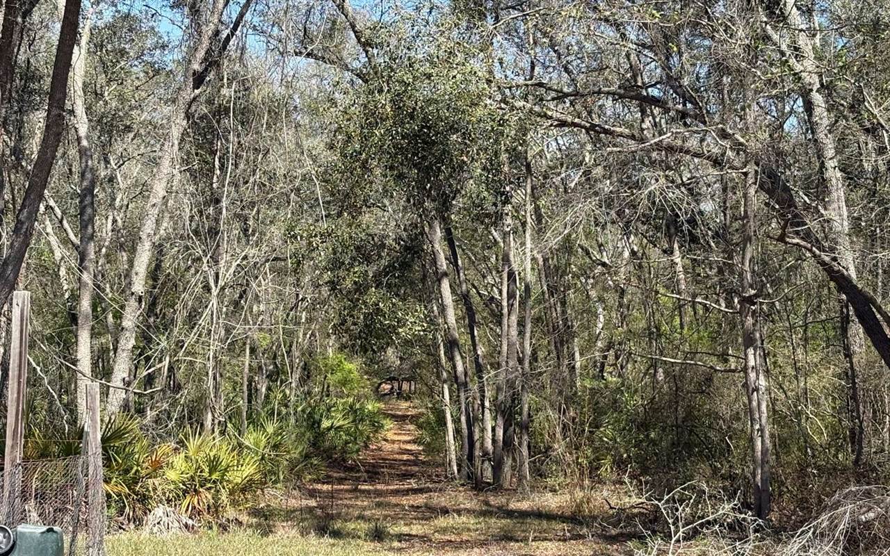 896 NW Everett Terrace, White Springs, FL 32096