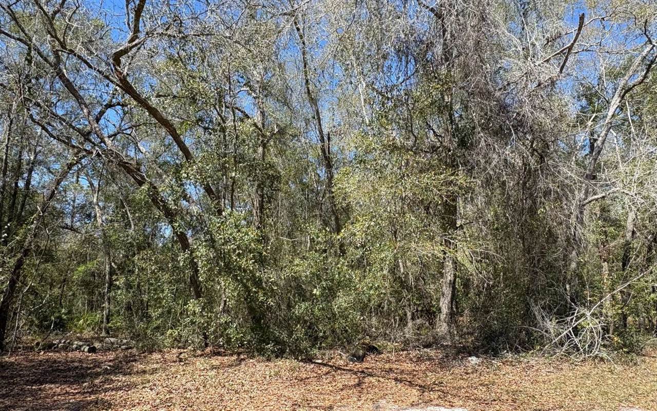 896 NW Everett Terrace, White Springs, FL 32096