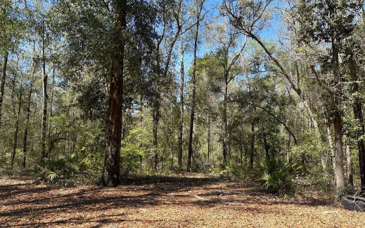 896 NW Everett Terrace, White Springs, FL 32096