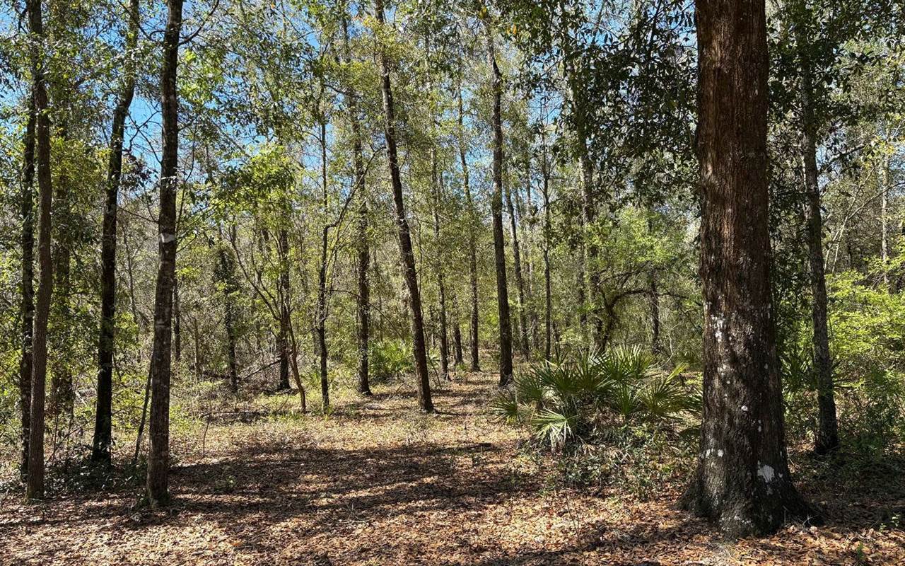 896 NW Everett Terrace, White Springs, FL 32096