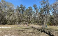 896 NW Everett Terrace, White Springs, FL 32096