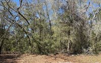 896 NW Everett Terrace, White Springs, FL 32096