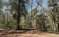 896 NW Everett Terrace, White Springs, FL 32096