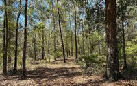 896 NW Everett Terrace, White Springs, FL 32096