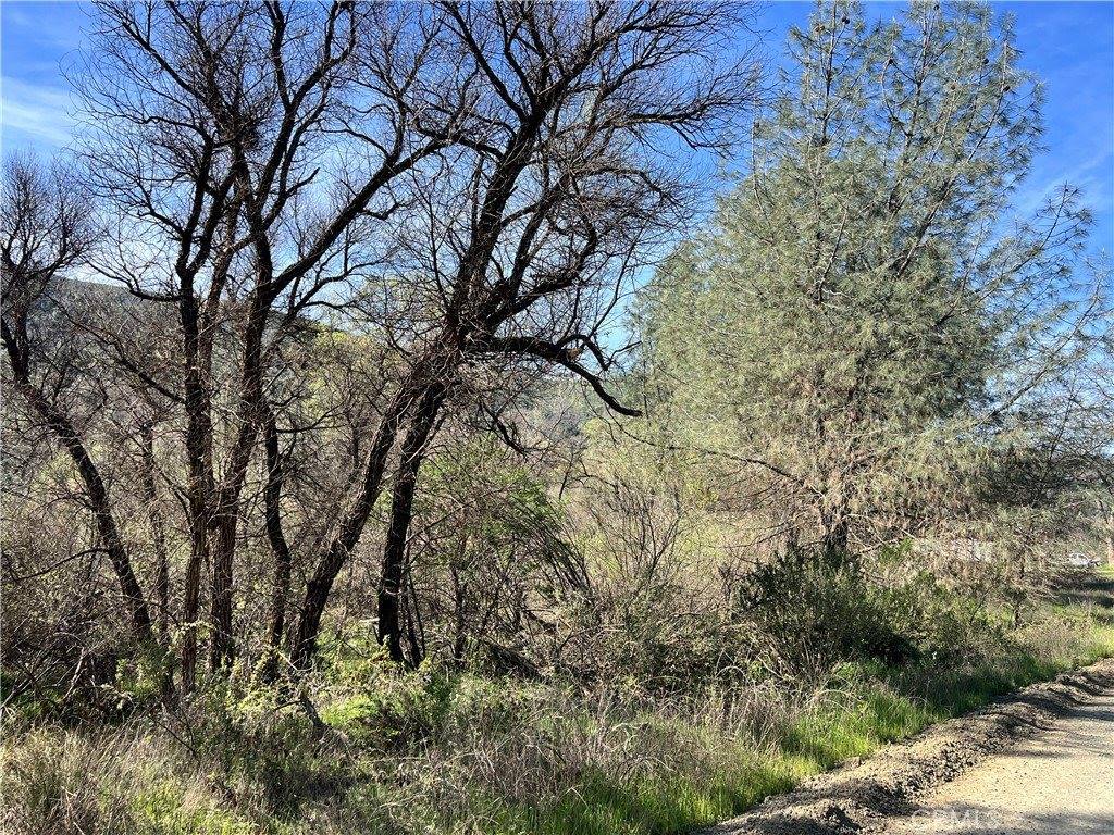 2286 New Long Valley Road, Clearlake Oaks, CA 95423