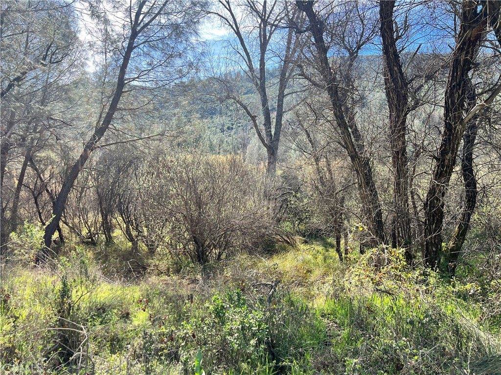 2286 New Long Valley Road, Clearlake Oaks, CA 95423