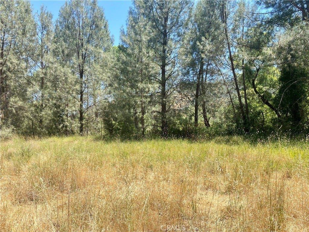 2286 New Long Valley Road, Clearlake Oaks, CA 95423