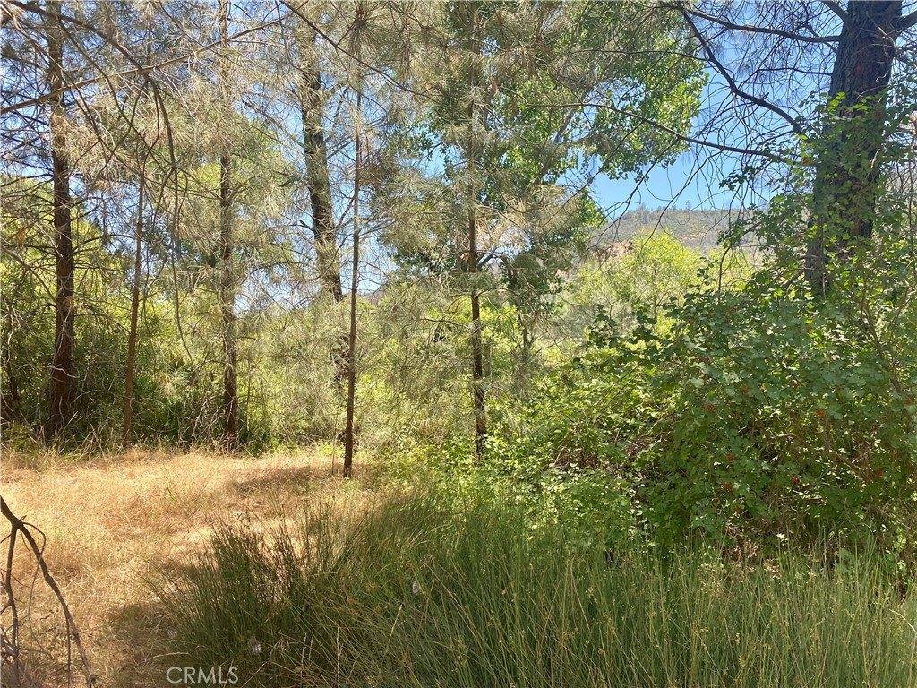 2286 New Long Valley Road, Clearlake Oaks, CA 95423