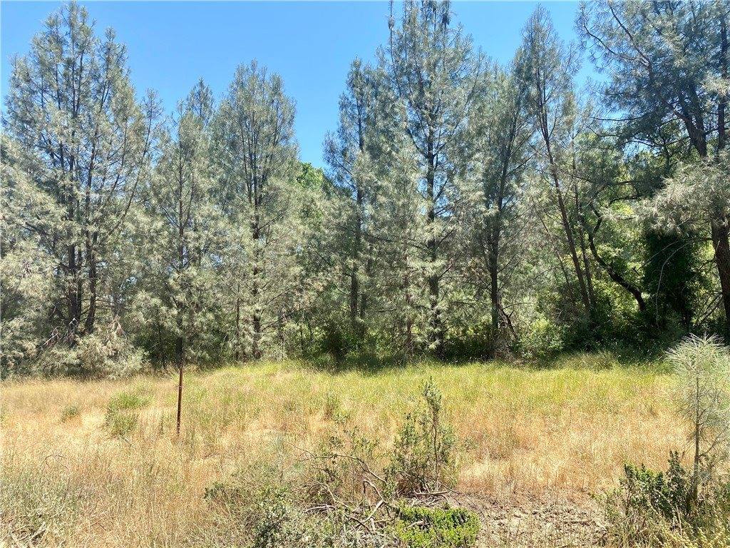 2286 New Long Valley Road, Clearlake Oaks, CA 95423