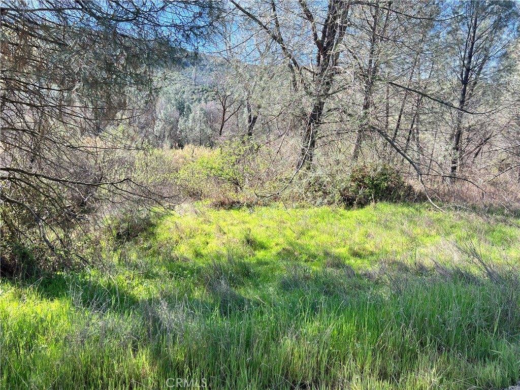 2286 New Long Valley Road, Clearlake Oaks, CA 95423