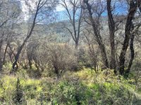 2286 New Long Valley Road, Clearlake Oaks, CA 95423