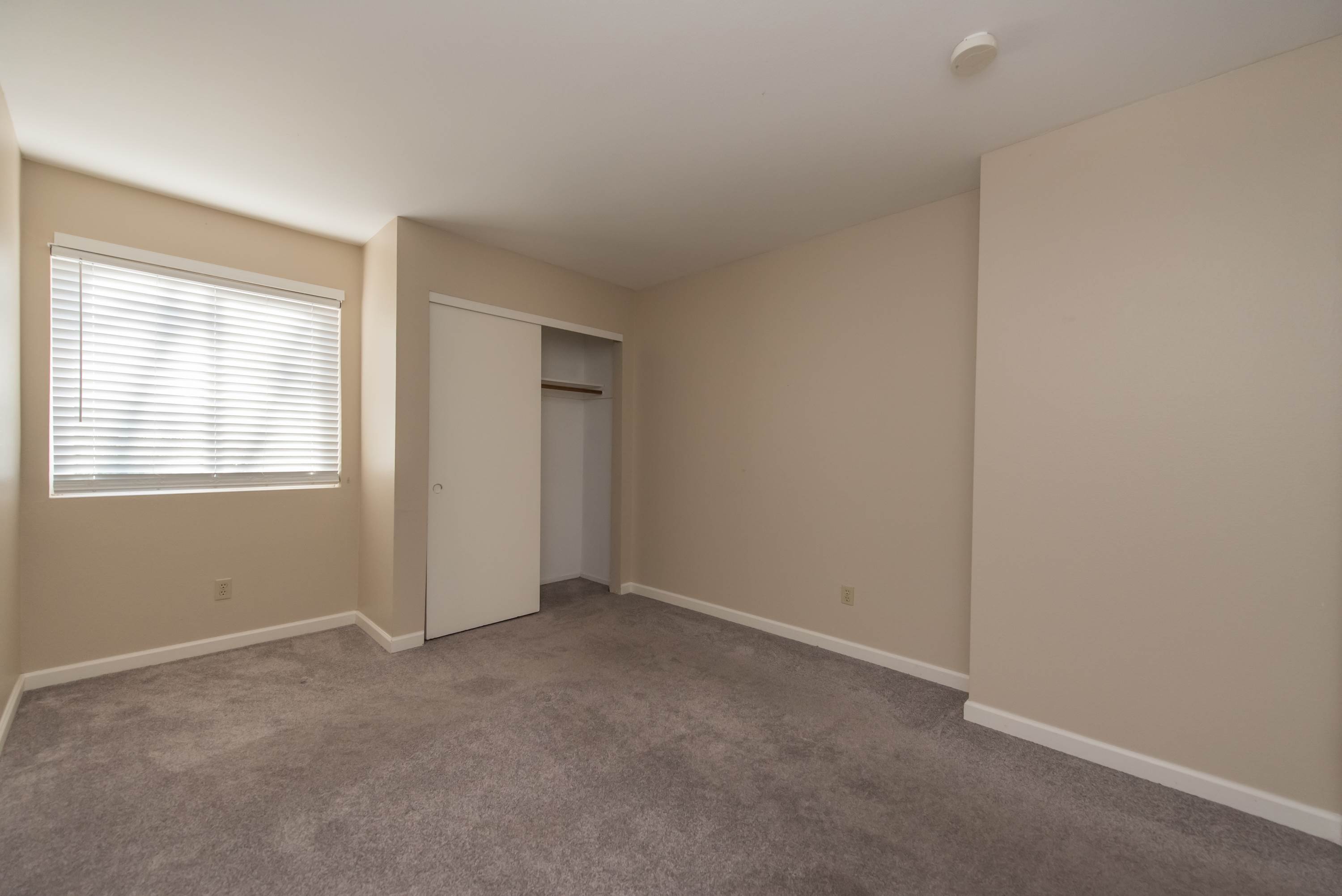 3317 Yulupa Avenue, Santa Rosa, CA 95405
