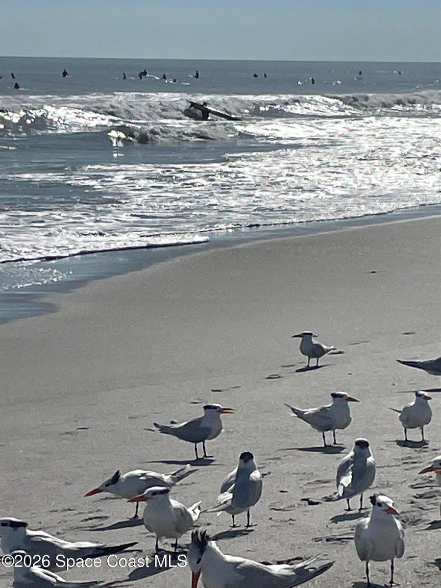 763 Simeon Drive, Satellite Beach, FL 32937