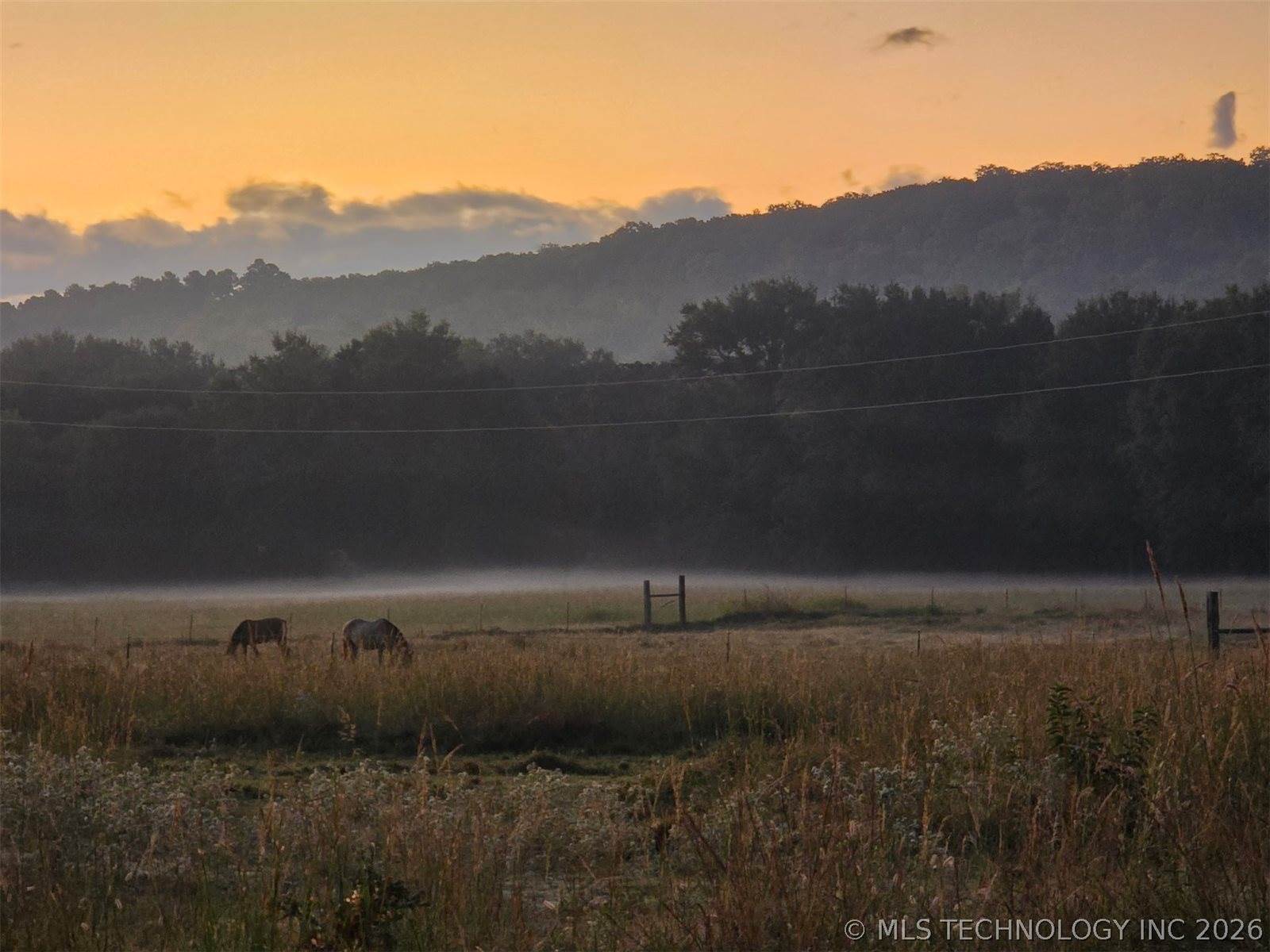 26519 Merle Branch Lane, Heavener, OK 74937