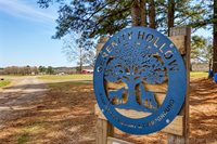 26519 Merle Branch Lane, Heavener, OK 74937